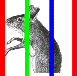 mouseCage.gif