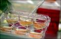 stemcell2.jpg