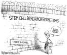 stemcell3.jpg